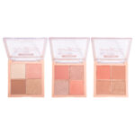 Paleta de Rostro 3 en 1 Febble