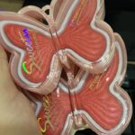 rubor mariposa horneado