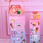 termo dúo , uno de 2 litros otro de 900 ml  con pines y stickers