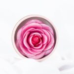Rubor Gabrielle Bloomshell